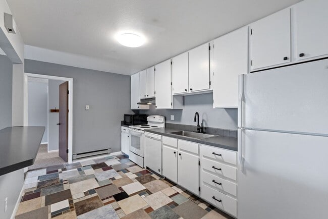 1118 City Park Ave in Fort Collins, CO - Building Photo - Building Photo