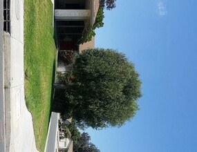 11 Baroda Dr in Camarillo, CA - Building Photo - Building Photo