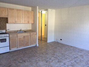 1550 Wilder Ave in Honolulu, HI - Foto de edificio - Building Photo