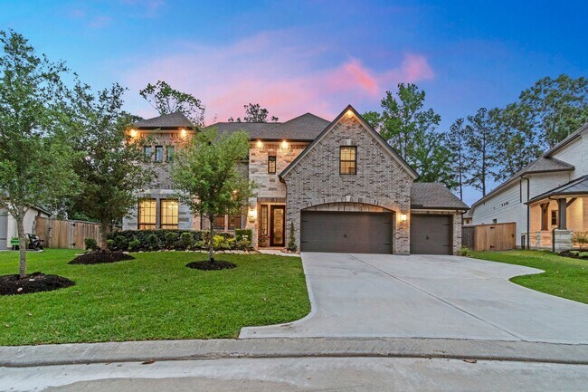 109 Bronze Peak Ct in Montgomery, TX - Building Photo - Building Photo