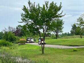 123 Iliad Dr in Tinley Park, IL - Building Photo - Building Photo