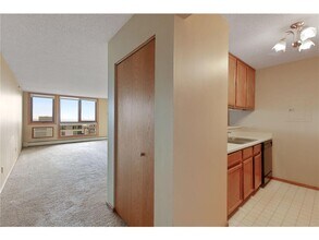 433 S 7th St in Minneapolis, MN - Building Photo - Building Photo