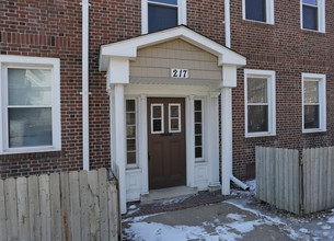 217-219 W Franklin Ave in Minneapolis, MN - Building Photo - Building Photo