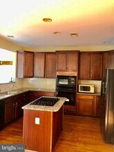 20084 Boxwood Pl in Ashburn, VA - Building Photo - Building Photo