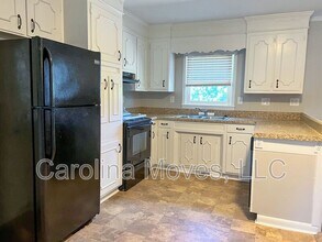 203 Lanewood Dr in Greenville, SC - Building Photo - Building Photo