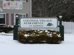 Colonial Village in Amherst, MA - Building Photo - Building Photo