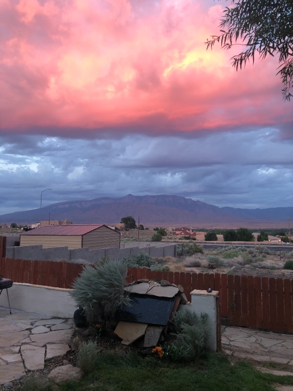 832 Monterrey Rd NE in Rio Rancho, NM - Building Photo - Building Photo