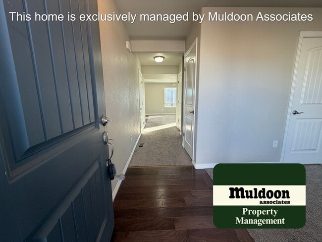 7911 Ainsley Park Pl in Colorado Springs, CO - Building Photo - Building Photo