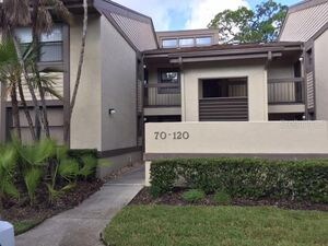 70 Woodlake Pl in Oldsmar, FL - Building Photo - Building Photo