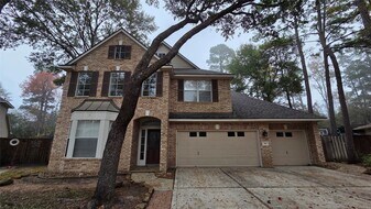 46 Dalea Pl in Spring, TX - Building Photo