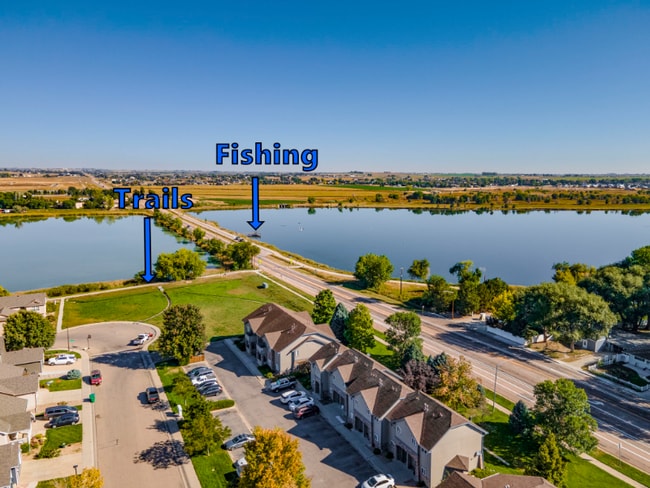 381 Buffalo Dr in Windsor, CO - Foto de edificio - Building Photo