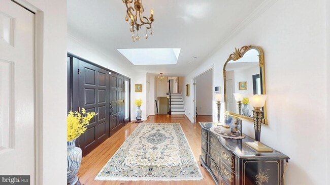 317 Springvale Rd in Great Falls, VA - Building Photo - Building Photo