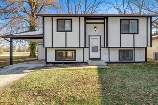 11 Carriage Lane in Glen Carbon, IL - Building Photo