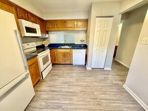 2504 Thicket Greene Ct in Henrico, VA - Building Photo - Building Photo