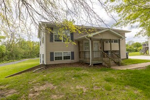 3708 Greeley Dr in Columbia, MO - Building Photo