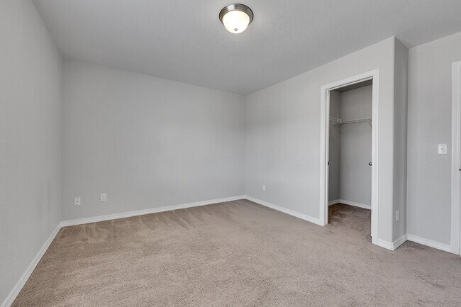 4033 Silver Star Grove in Colorado Springs, CO - Building Photo - Building Photo
