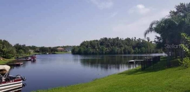 10709 Cory Lake Dr in Tampa, FL - Building Photo - Building Photo