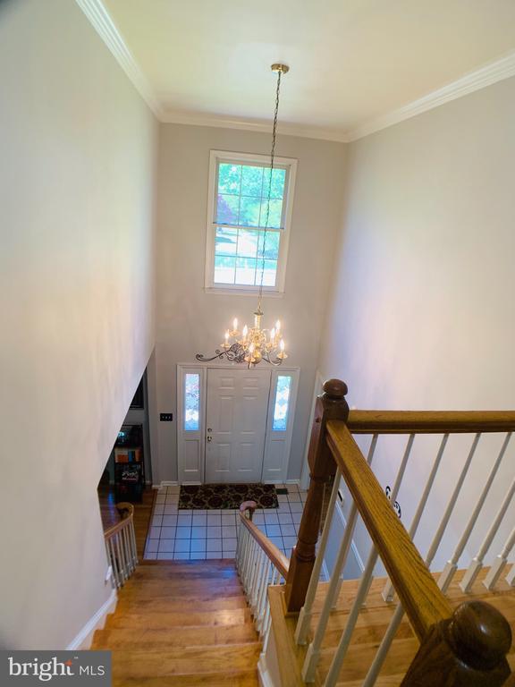 property at 8604 Oak Chase Cir