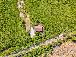 7325 Holly Rd in Terra Ceia, FL - Building Photo - Building Photo