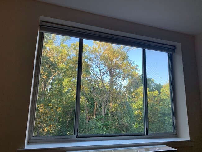4100 W St NW, Unit 416 in Washington, DC - Building Photo - Building Photo