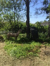 2935 Johnson Ave in San Luis Obispo, CA - Building Photo - Building Photo