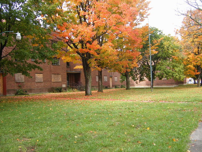 Libertad in Elmira, NY - Foto de edificio - Building Photo