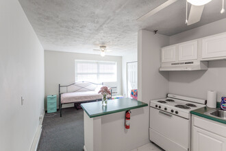 Ambassador Studio Apartments in Carbondale, IL - Foto de edificio - Interior Photo