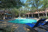 Pool - Nalle Woods Apartments in Austin, Texas