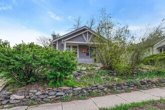 1920 S Downing St in Denver, CO - Building Photo - Building Photo