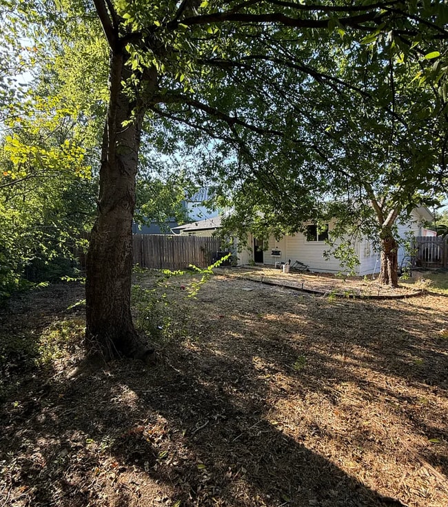 1304 Falcon Cv in Austin, TX - Building Photo - Building Photo