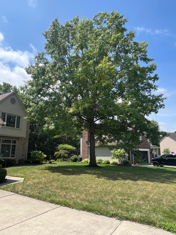 property at 6341 Columbia Cir