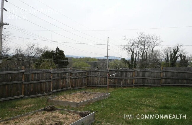 803 Craig Ave in Salem, VA - Building Photo - Building Photo