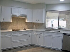 8002 Spandera Cove in Austin, TX - Building Photo - Building Photo
