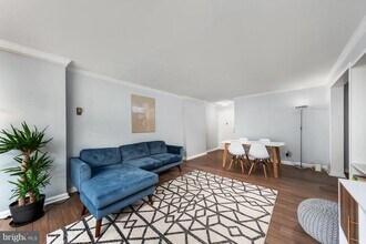 305 C St NE in Washington, DC - Building Photo - Building Photo