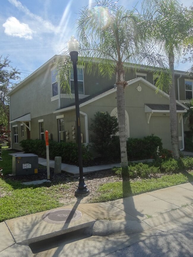 2946 Willowleaf Ln in Wesley Chapel, FL - Building Photo - Building Photo