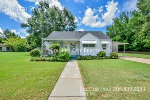 503 18th St in Tuscaloosa, AL - Building Photo