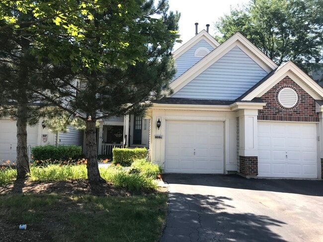 809 Spring Creek Ct in Elk Grove Village, IL - Building Photo - Building Photo
