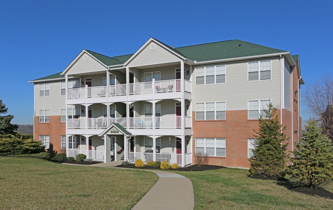 Aspen Pines in Wilder, KY - Building Photo