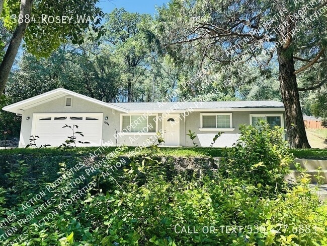 property at 3884 Rosey Way
