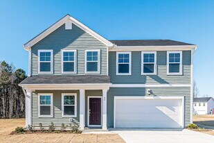 93 Digging Time Ave in Princeton, NC - Building Photo