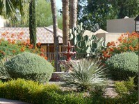 Building Photo - The Agave Apartments in Tucson, Arizona
