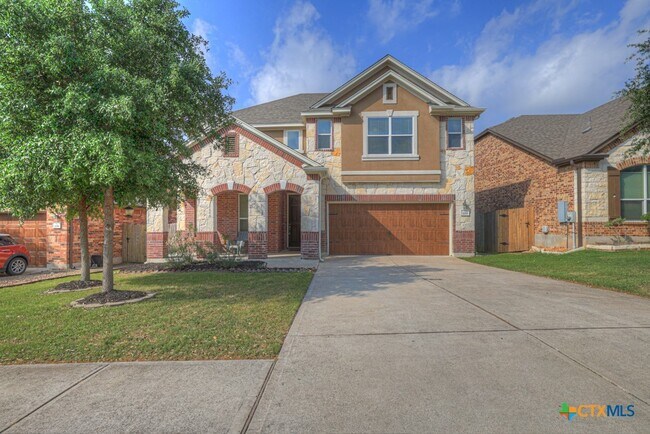 property at 209 Sky Springs Pass
