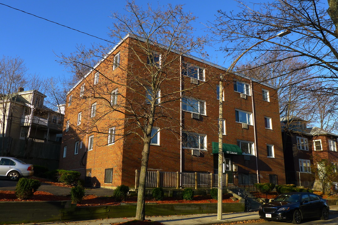 197 Calumet St in Roxbury, MA - Foto de edificio