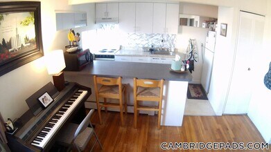 77 Trowbridge St in Cambridge, MA - Building Photo - Building Photo