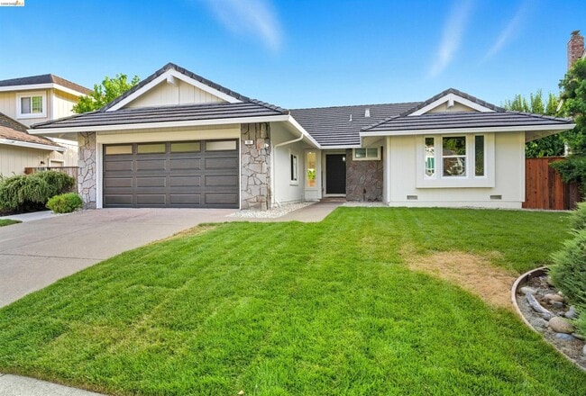 11 Paddock Ct in Pleasant Hill, CA - Building Photo - Building Photo