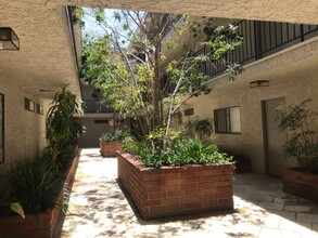 3709 Watseka Ave, Unit 309 in Los Angeles, CA - Building Photo - Building Photo