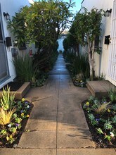 Darlington Court Apartments in Los Angeles, CA - Building Photo - Building Photo