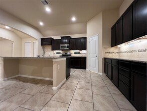 22514 Frassati Way in Spring, TX - Building Photo - Building Photo