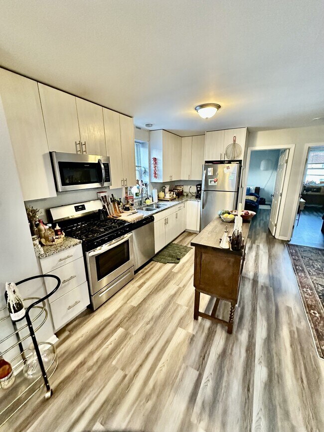 920 W 35th Pl in Chicago, IL - Building Photo - Building Photo