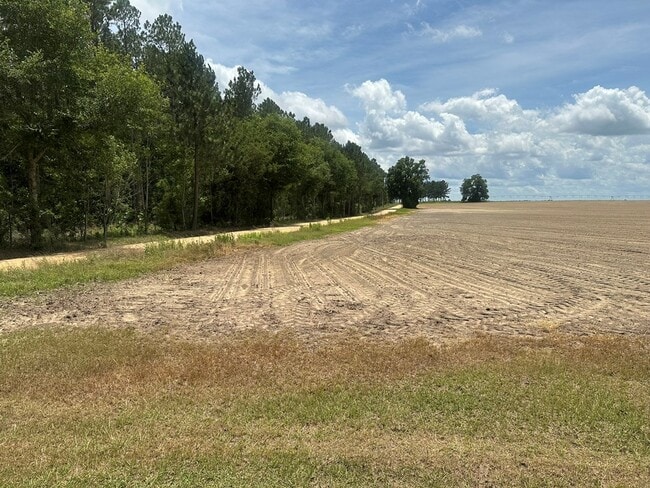 266 Presley Suber Rd in Moultrie, GA - Building Photo - Building Photo